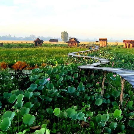 Tràm Chim Viet Mekong Farmstay מראה חיצוני תמונה
