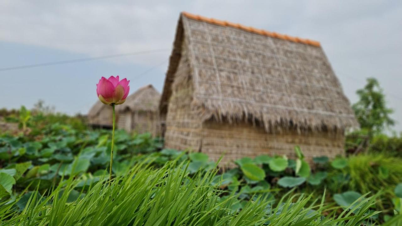 Tràm Chim Viet Mekong Farmstay מראה חיצוני תמונה