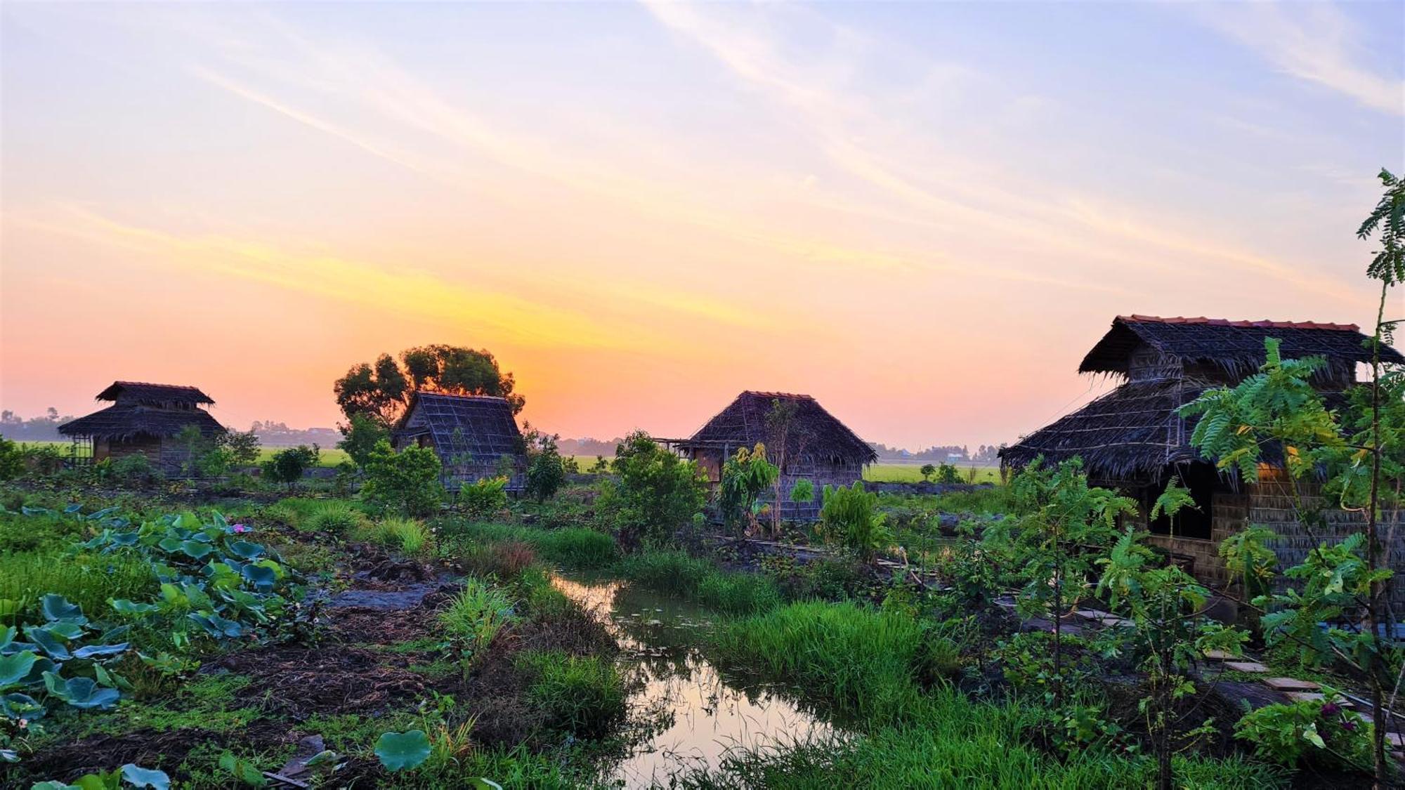 Tràm Chim Viet Mekong Farmstay מראה חיצוני תמונה